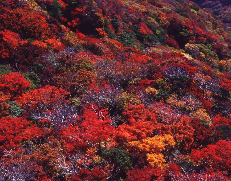 Yumoto Hotel Ундзэн Экстерьер фото